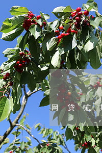 网贷逾期几千块钱会被起诉吗（网代逾期5000一般会被起诉吗）