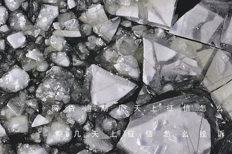 网贷逾期几天上征信怎么投诉取消-网贷逾期几天上征信怎么投诉取消了