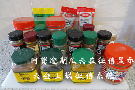 网贷逾期几天在征信显示(网贷一般逾期多少天会上报征信系统)
