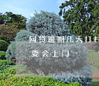 网贷逾期几天打村委会(网贷逾期威胁联系村委会上门)