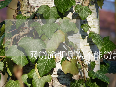 网贷逾期几次不能贷款(网贷多次逾期)