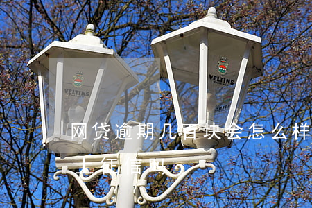 网贷逾期几百块会怎么样（网贷逾期几百块会上征信吗）