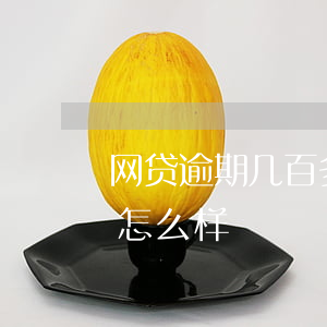 网贷逾期几百多会上门吗(网贷逾期几百块会怎么样)