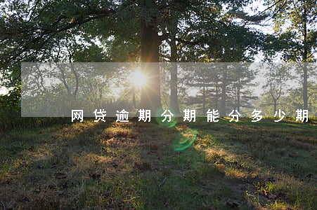 网贷逾期分期能分多少期