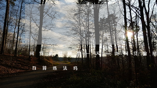 网贷逾期利息一天一块(网贷逾期一天利息一百算违法吗)