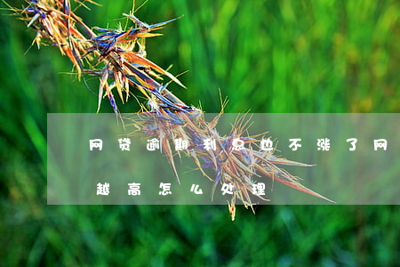 网贷逾期利息也不涨了(网贷逾期了利息越来越高怎么处理)
