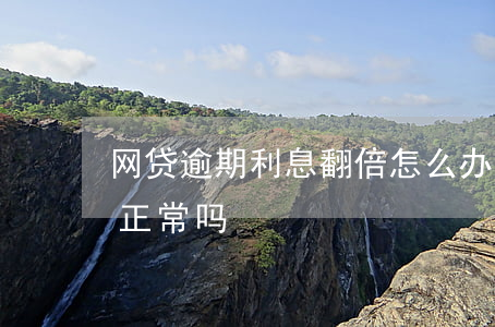 网贷逾期利息翻倍怎么办(网贷逾期金额翻倍正常吗)