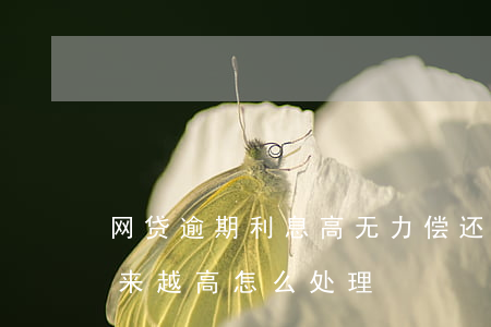 网贷逾期利息高无力偿还(网贷逾期了利息越来越高怎么处理)