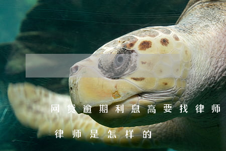 网贷逾期利息高要找律师嘛(网贷逾期真正的律师是怎样的)