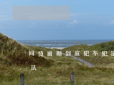 网贷逾期到底犯不犯法(网贷逾期到底犯不犯法)