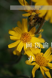 网贷逾期到法院应该怎么说 网贷逾期了怎么办