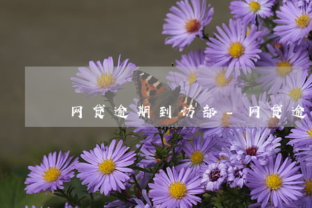 网贷逾期到访部-网贷逾期到访部门叫什么
