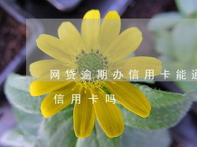 网贷逾期办信用卡能通过么(网贷逾期可以办信用卡吗?)