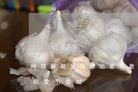 网贷逾期加你微信要不要加 网贷逾期加我微信,要不要加