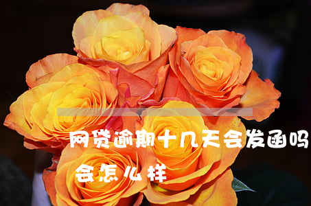 网贷逾期十几天会发函吗(网贷逾期了10天会怎么样)
