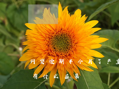 网贷逾期半个月了严重吗(网贷逾期半年以上有什么后果)