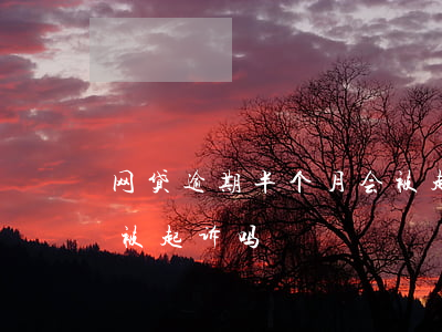 网贷逾期半个月会被起诉吗(网贷逾期半年会被起诉吗)