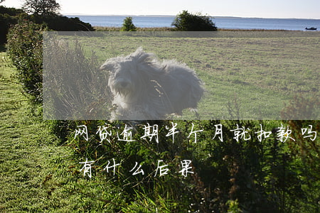 网贷逾期半个月就扣款吗(网贷逾期一个多月有什么后果)