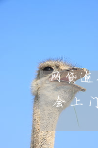 网贷逾期半个月说要上门(网贷两千块逾期了会上门吗?)