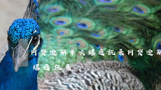 网贷逾期半天爆通讯录(网贷逾期两天会不会爆通讯录)