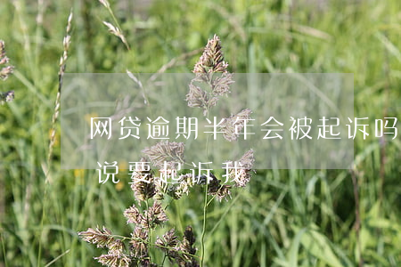 网贷逾期半年会被起诉吗（网贷逾期半年多了说要起诉我）