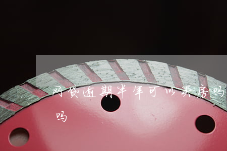 网贷逾期半年可以买房吗(网贷逾期能买房子吗)