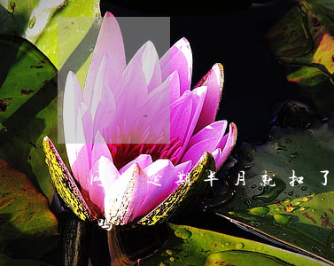 网贷逾期半月就扣了吗(网贷逾期半月就扣了吗)