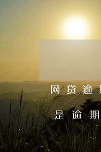 网贷逾期协商处理还公账(网贷逾期前协商还是逾期后协商)
