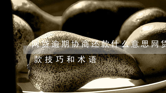 网贷逾期协商还款什么意思 网贷逾期协商还款技巧和术语