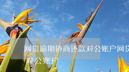 网贷逾期协商还款对公账户(网贷逾期还款到对公账户)