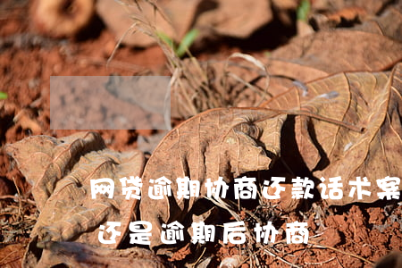 网贷逾期协商还款话术案例(网贷逾期前协商还是逾期后协商)