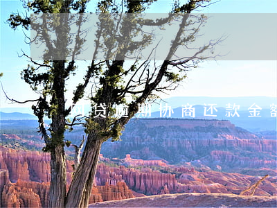 网贷逾期协商还款金额比本金低