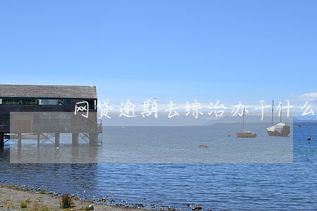 网贷逾期去综治办干什么
