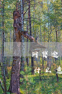 网贷逾期发qq邮箱(网贷逾期发邮箱给我是什么意思?)