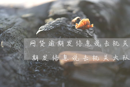 网贷逾期发信息说去机关大队报案-网贷逾期发信息说去机关大队报案是真的吗