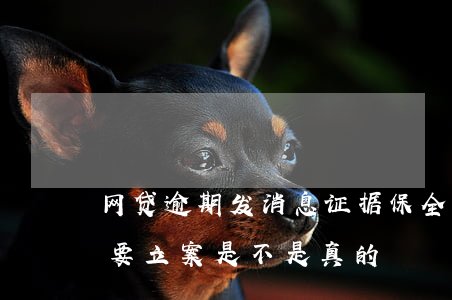 网贷逾期发消息证据保全(网贷逾期发信息给要立案是不是真的)