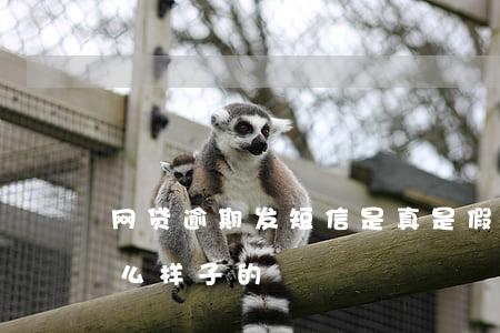 网贷逾期发短信是真是假(网贷逾期短信是什么样子的)