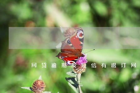 网贷逾期发短信有退订(网贷逾期收到短信)