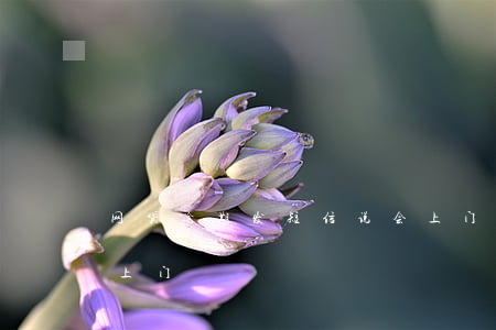 网贷逾期发短信说会上门(网贷发信息说今天上门)