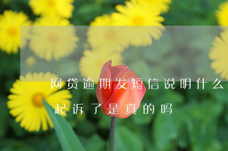 网贷逾期发短信说明什么(网贷逾期发短信说起诉了是真的吗)