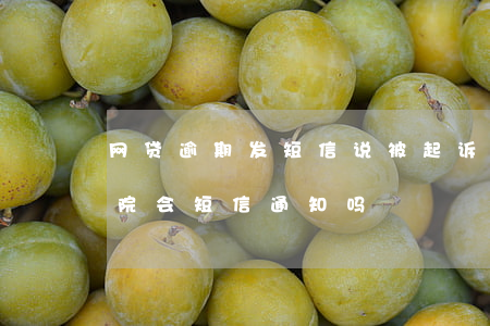 网贷逾期发短信说被起诉(网贷逾期被起诉法院会短信通知吗?)