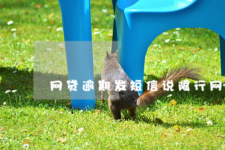 网贷逾期发短信说限行(网贷逾期会发短信吗)