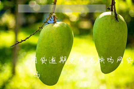 网贷逾期变成老赖吗(网贷逾期了会变成黑户吗)
