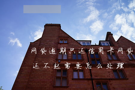 网贷逾期只还信用卡(网贷和信用卡同时逾期还不起需要怎么处理)
