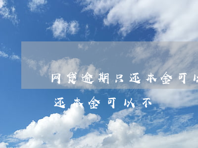 网贷逾期只还本金可以(网贷逾期几年了协商还本金可以不)