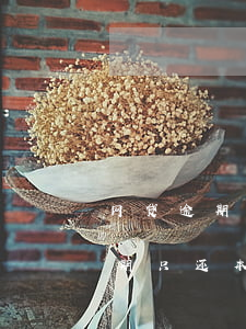 网贷逾期只还本金怎么还不被套路-网贷逾期只还本金怎么还不被套路呢