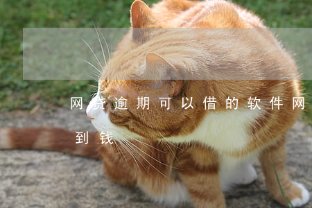 网贷逾期可以借的软件(网贷逾期什么软件借到钱)