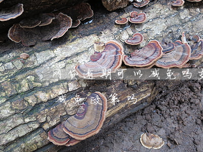 网贷逾期可以减免吗（支付宝里网贷逾期了有减免政策吗）