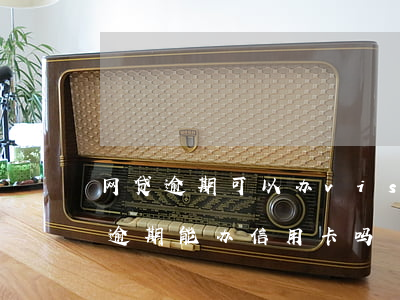网贷逾期可以办visa信用卡吗-网贷有逾期能办信用卡吗?