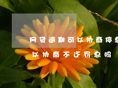 网贷逾期可以协商停息吗(网贷逾期半年了,可以协商不还罚息吗)